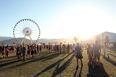 Moatella – 10 things that would happen if Coachella hit Ireland