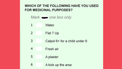 Important Questions Added To Census 2016