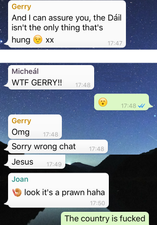 “We’re Fucked” – Dáil Eireann WhatsApp Group