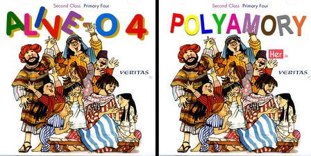 More appropriate names for our beloved Irish school books