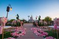 PICS – You can now have a princess wedding in Disney World Florida