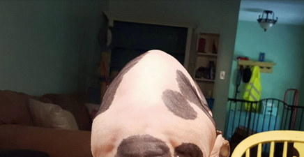 PIC: A cat has gone viral for having a human face on its butt