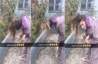 WATCH: This Limerick woman had the ultimate hair mare in her back garden