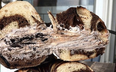 Oreo Bagels are a reality and we can’t deal