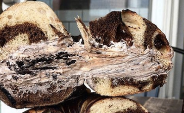 Oreo Bagels are a reality and we can’t deal