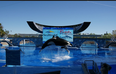 SeaWorld are making big changes to how their animals are treated