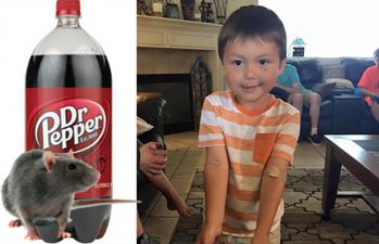 3-year-old discovers a rodent in a bottle of Dr. Pepper