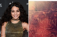 Vanessa Hudgens was fined $1000 for carving a heart into a rock in the Arizona desert