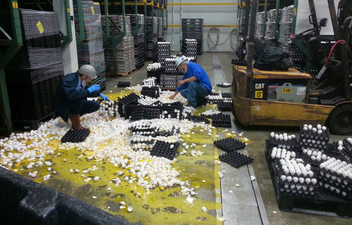 Just try and not laugh at this Imgur gallery of other people’s mishaps