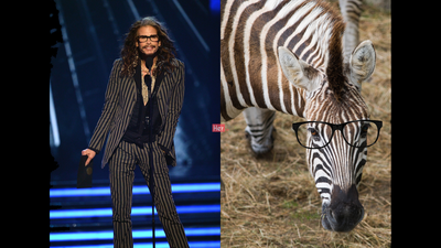 2016 Billboard Music Awards – Who wore it best?