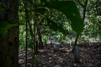 Japanese boy still missing after parents ‘punish’ him by leaving him behind