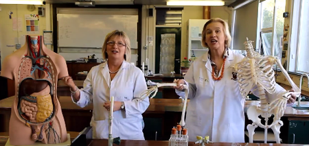 WATCH: The singing and dancing staff of this Carlow school are just inspirational