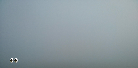 10 stunning photographs from last night’s fog