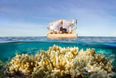 Airbnb is giving away an incredible stay in a floating villa at the Great Barrier Reef