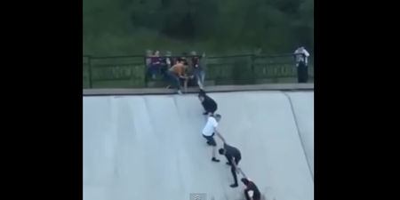 WATCH: Group of friends form human chain to rescue a dog