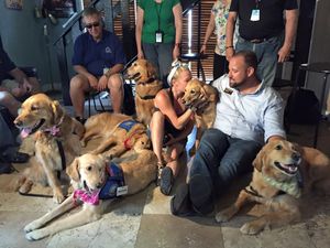 Comfort dogs travel to Orlando in wake of nightclub massacre