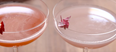 Starburst cosmopolitans are here and they look absolutely BEAUTIFUL