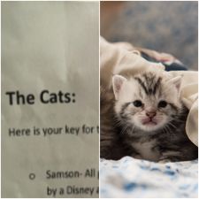 This pet-owner may be the biggest cat lover we’ve ever seen