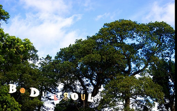 A new event has been added to Body&Soul that will make football fans VERY happy