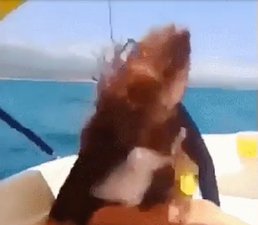 This video of a woman disappearing is wrecking people’s heads