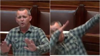 A politician made a valiant effort at a dab in the Dáil today