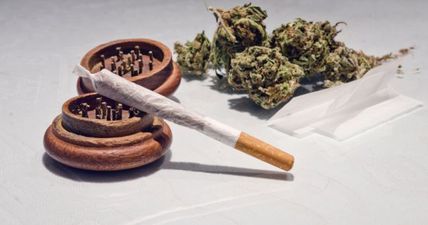 It turns out joints in Amsterdam come with the soundest advice