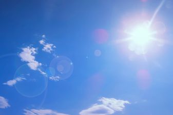 Here’s the proof that tomorrow is going to be absolutely gorgeous