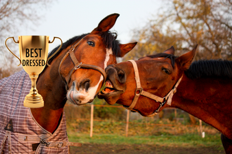 We’ve got a sneak peak at the best dressed from Ladies Day at the Galway Races