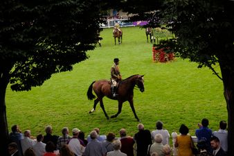 Bruce Springsteen turned up at the Dublin Horse Show yesterday