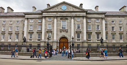 These are the third-level courses with the highest dropout rates in Ireland