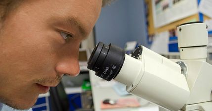 How much can you remember from this Junior Cert-level Science quiz?