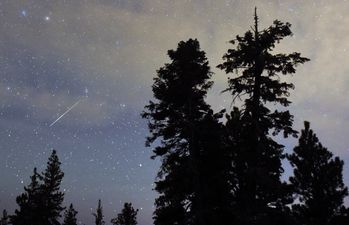 There’s going to be spectacular meteor shower tonight, so here’s how to see it