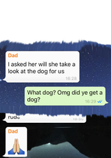 Irish Family WhatsApp Group – Leaving Cert Results, Olympics & Rose of Tralee