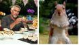 ‘Bake Off’ fans are furious after the well-endowed squirrel disappears from the show