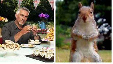 ‘Bake Off’ fans are furious after the well-endowed squirrel disappears from the show