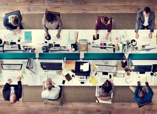 The jobs that make people the happiest have been revealed