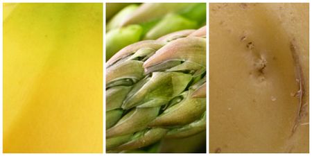 Can you guess the food just from an extreme close-up?