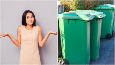 Can you or can you not put this into your recycling bin?