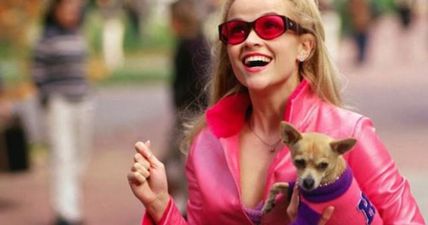 10 things you should know before going to college