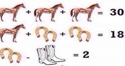People are boggled by this horse puzzle