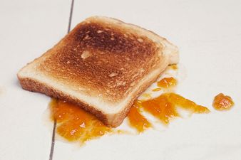 Finally, we’ve found out if the ‘five second rule’ works