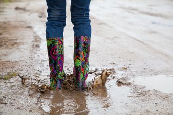 Five things not to miss at this year’s National Ploughing Championship