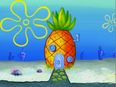 You can now stay in a pineapple house just like Spongebob