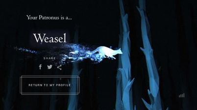 12 people who were NOT happy with the Patronus they got
