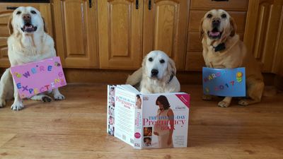 Tipperary woman comes up with adorably unique way of announcing her baby news