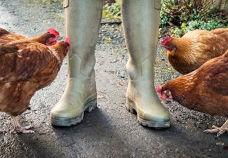 We have some good news for you if you grew up on a farm