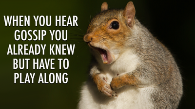 We turned stunning wildlife photography into relatable memes for World Animal Day