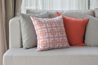 Another new Gogglebox family will be introduced tonight