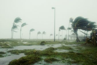 Disneyland closed as Florida braces for monster hurricane