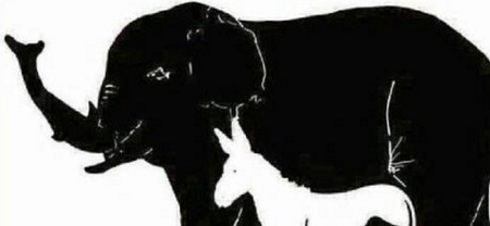 How many animals can you find in this image?